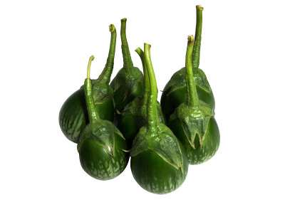 绿色的茄子