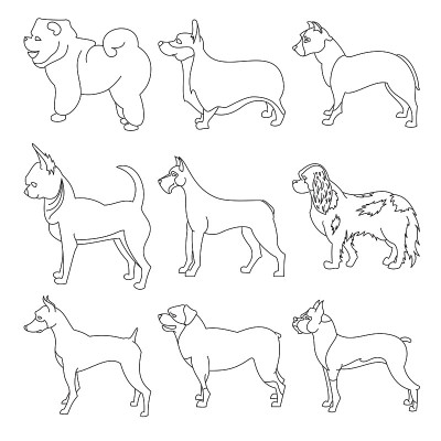 线型纯种犬的集合