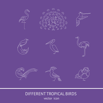 Birds set icon