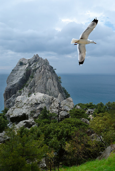 海洋