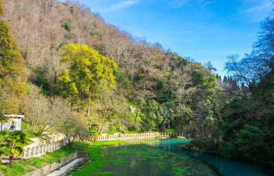 美丽的池塘
