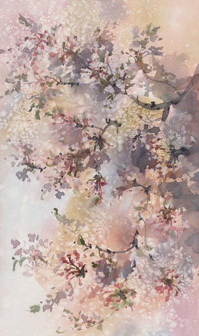 樱花枝开花水彩背景。春天的插图