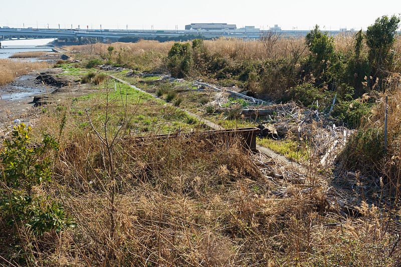 荒川河床，日本东京