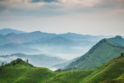 山在雾