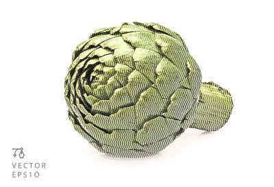 洋蓟刻字向量白色
