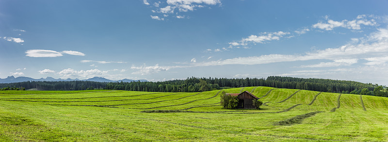 绿色丘陵景观与高山全景在Allgäu