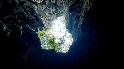 从特立尼达附近丛林的一个山洞里出来