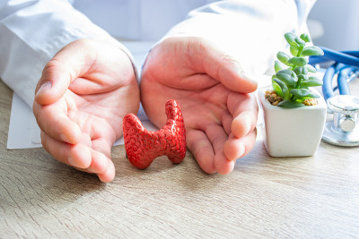 甲状腺内分泌学对疾病的保护、治疗、预防和惠顾健康，病理学概念照片。医生双手围着甲状腺形状的桌子