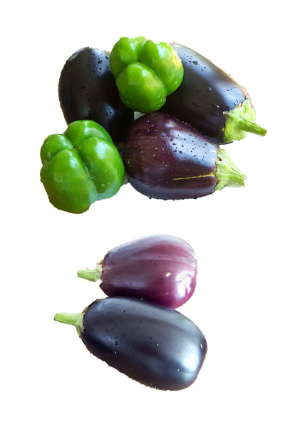 茄子和红辣椒
