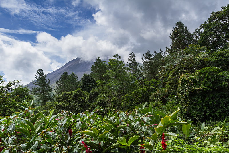 Arenal火山