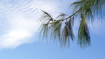 蓝天和白云