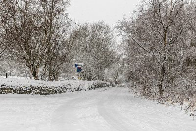 雪覆盖了道路
