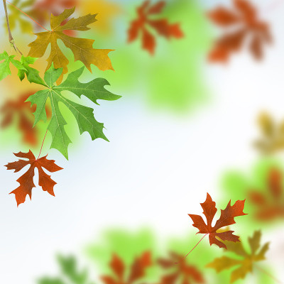 秋天
