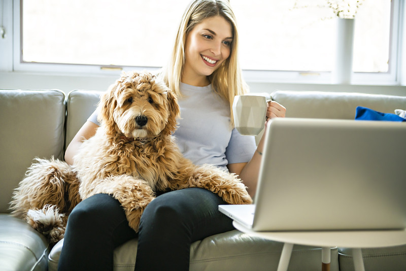 一个女人和他的金色拉布拉多犬在家里喝咖啡