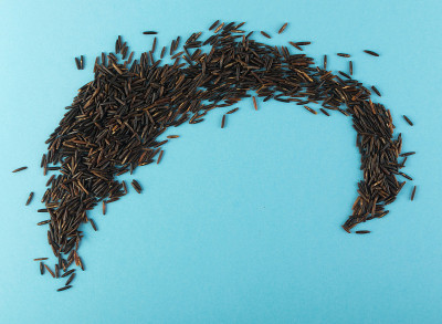 Raw Black Wild Rice on Blue Paper Background
