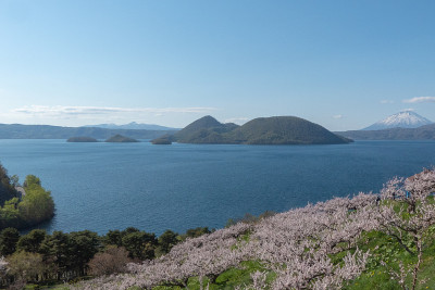 俯瞰托雅湖的樱花森林