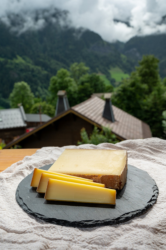 背景:上萨瓦的奶酪收藏，法国奶酪伯爵，博福特，丰度和法国山村