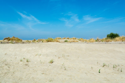 在Le Grau du Roi，法国的朗格多克海岸，美丽的白色沙滩被称为Plage de l'Esp