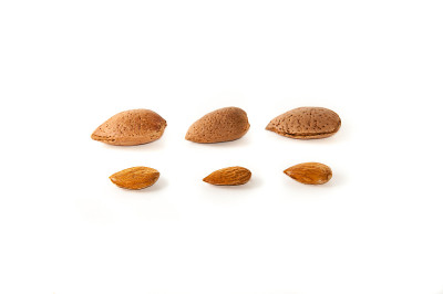 mandorle