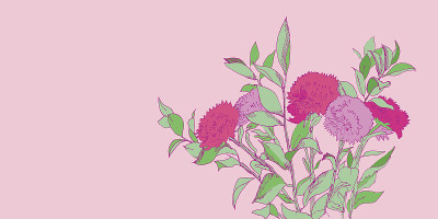紫菀花束手绘矢量插图