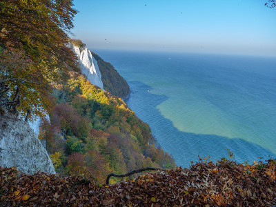 鲁根岛