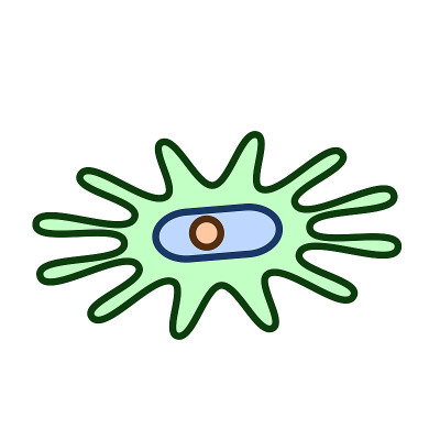 细菌，微生物，病毒轮廓向量图标。显微细菌或芽孢杆菌，分离于白色背景上