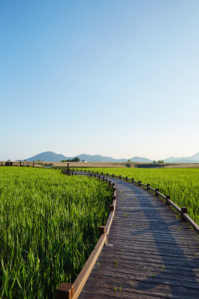 Suncheonman湾