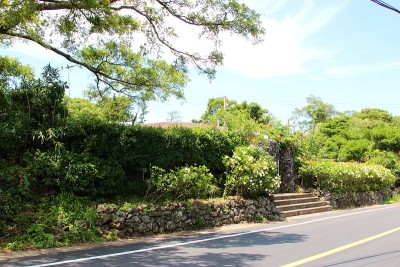 钉子，池塘，莲花，睡莲，