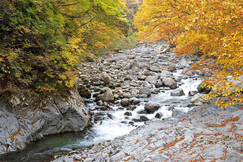 秋天的中津川峡