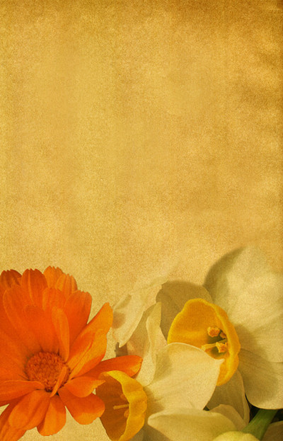 水仙花