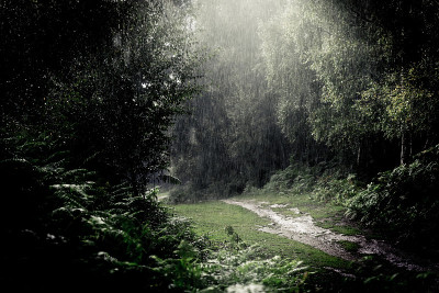 暴雨-在户外散步时会下倾盆大雨