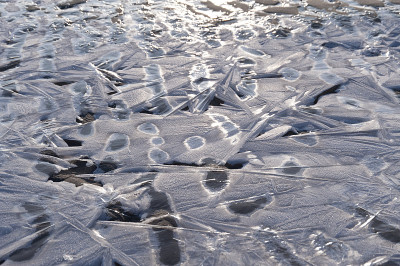 海滩的Amrum