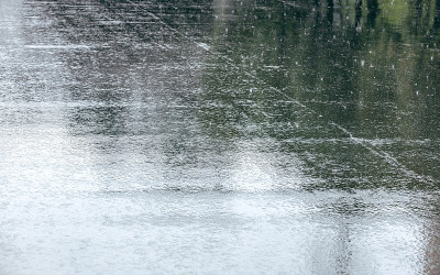 沥青路面上的树木在大雨中反光