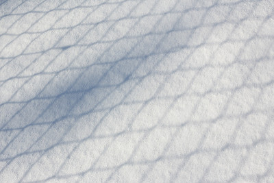 雪上篱笆的影子