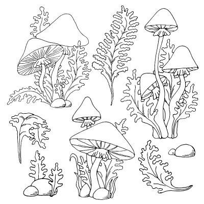 在白色背景上画出蘑菇白伞的黑色轮廓