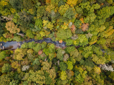 北卡罗莱纳州西部河流峡谷的鸟瞰图