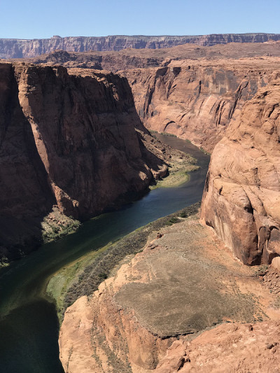 马蹄弯页，AZ