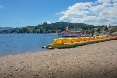 Titisee im黑森林,德国