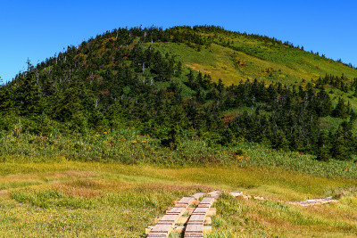 Aizukomagatake山和山路
