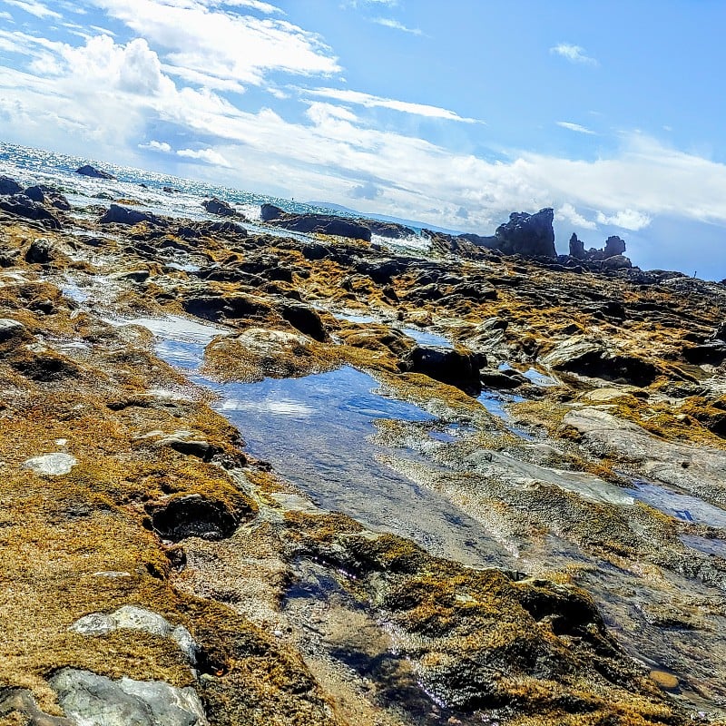 岩石和潮流