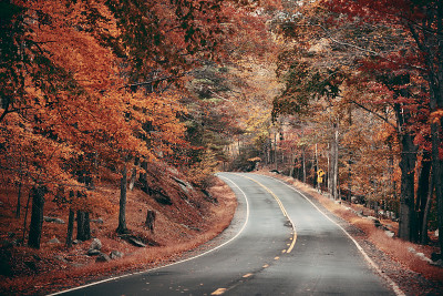 秋天的道路