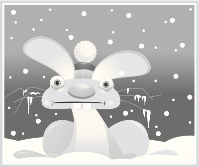 雪兔