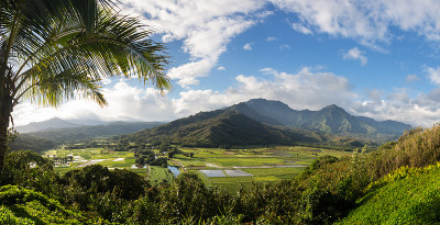 考艾岛哈纳莱山谷全景图