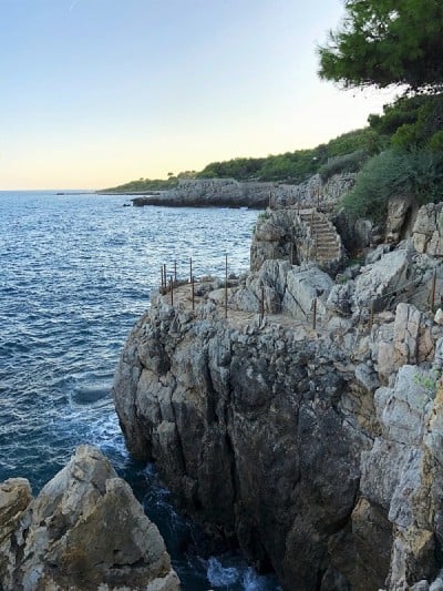 d' anti - Bay