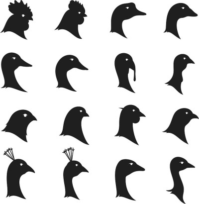 矢量家禽图标孤立在白色上