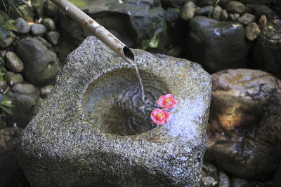 Tsukubai和山茶花