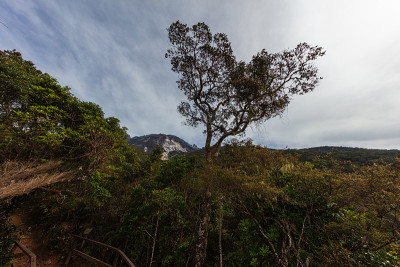 攀登Kinabalu山，沙巴，婆罗洲，马来西亚