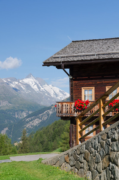 高山小屋和树木?glockner