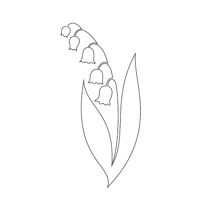 铃兰