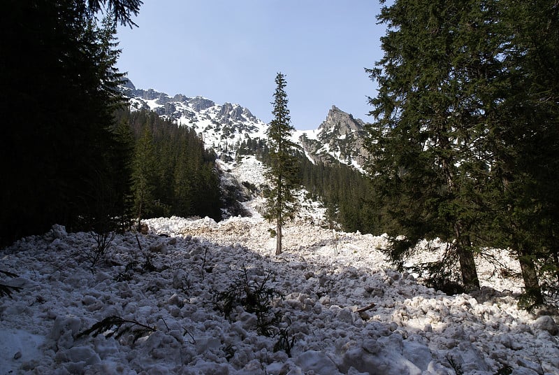 波兰泰特拉山脉发生雪崩